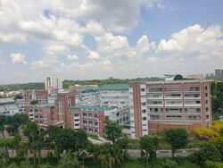 Dunearn Road (D11), Condominium #507201681